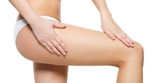CUISSE